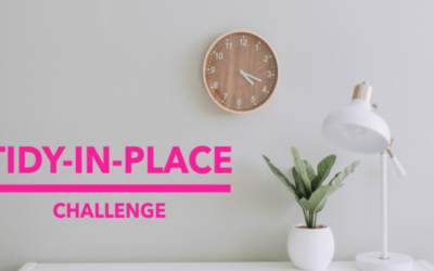 Tidy-in-Place Challenge