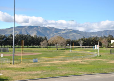 Vintage Meadows